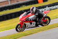 PJ-Motorsport-2019;anglesey-no-limits-trackday;anglesey-photographs;anglesey-trackday-photographs;enduro-digital-images;event-digital-images;eventdigitalimages;no-limits-trackdays;peter-wileman-photography;racing-digital-images;trac-mon;trackday-digital-images;trackday-photos;ty-croes